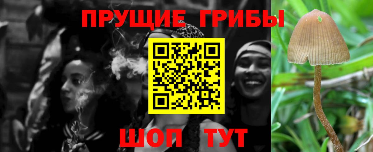 Тихвин  Галлюциногенные грибы Psilocybine cubensis  где купить наркоту  Вход с VPN 