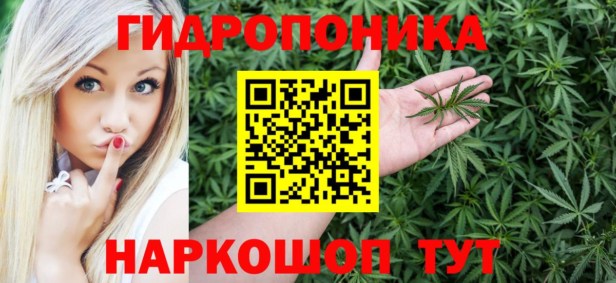 Бошки марихуана Amnesia Тихвин